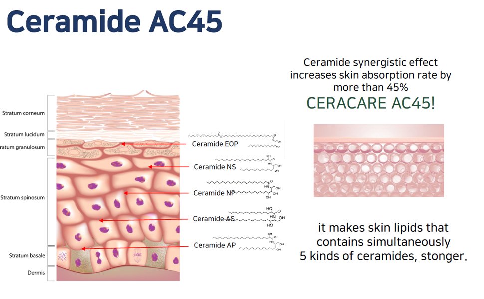 stemcell-03